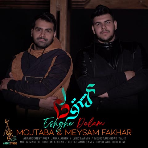 دانلود آهنگ میثم و مجتبی فخار عشق دلم